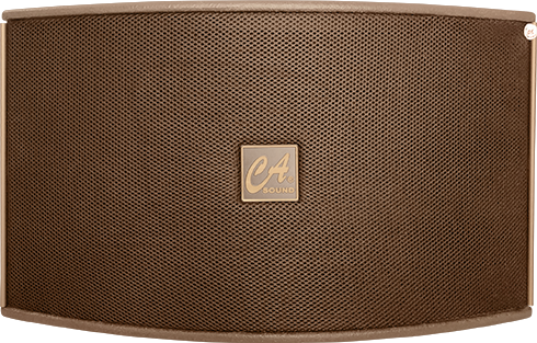 CA Loudspeaker K-210